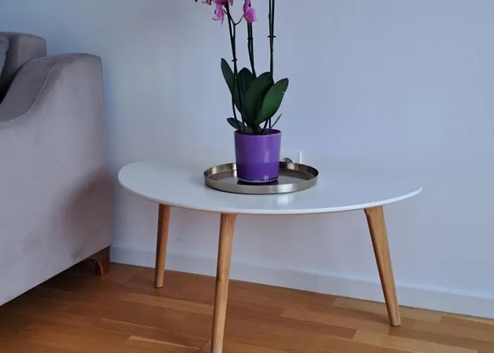 Meandar Luxury * Sarajevo